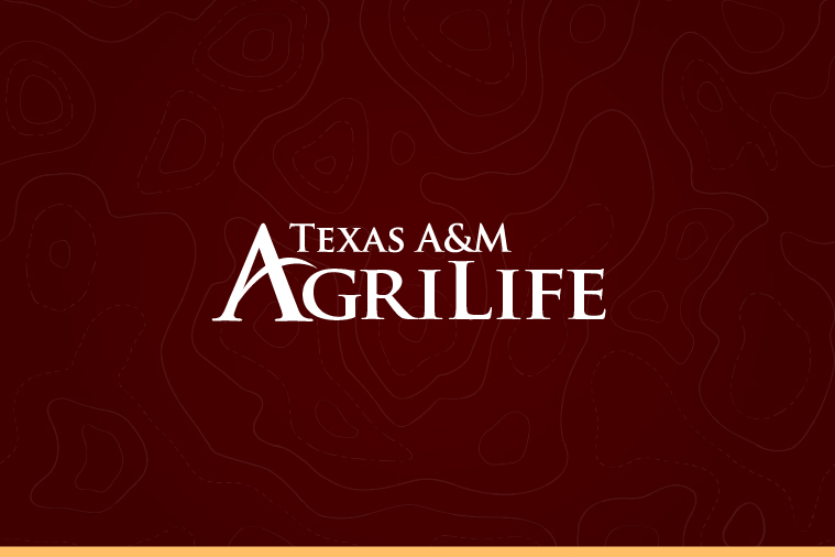 Maroon background with a white "Texas A&M AgriLife" logo atop it