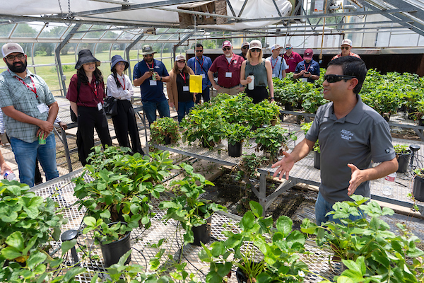 A horticulturist stands inside a large greenhouse and gestures to a collection of small potted plants as he speaks to a gathered crowd.